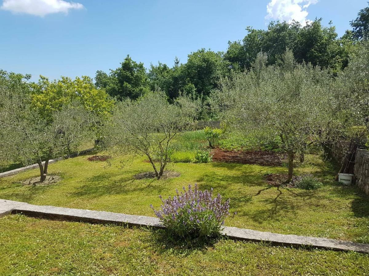 לאבין Apartmani Mariela מראה חיצוני תמונה
